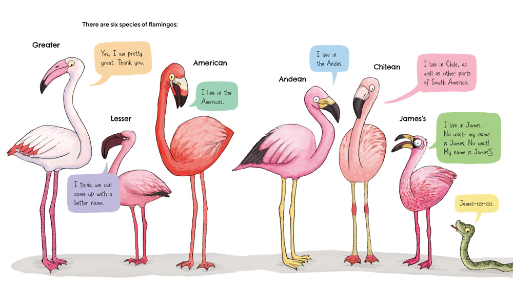 Flamingos Are Pretty Freaky by Abi Cushman (Greenwillow, 2024)